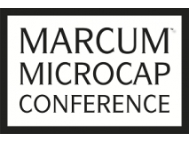 Highpower International to Present at the 2017 Marcum Microcap Conference
