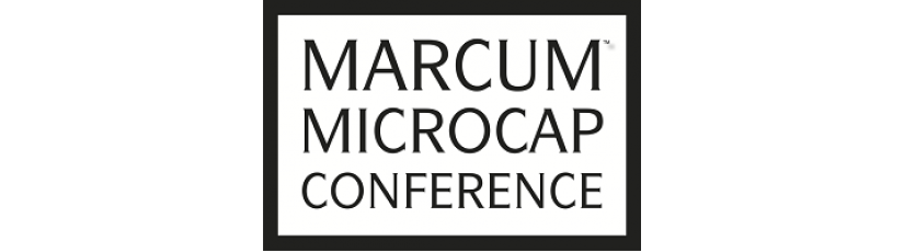 Highpower International to Present at the 2017 Marcum Microcap Conference